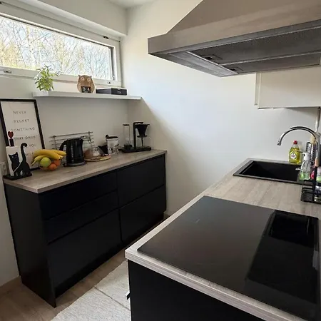 Modern & Spacious Near Center